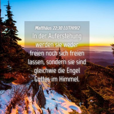 Picture 04 - Matthäus 22:30 LUTH1912 - In der Auferstehung werden sie weder freien noch - Bible Verse Picture