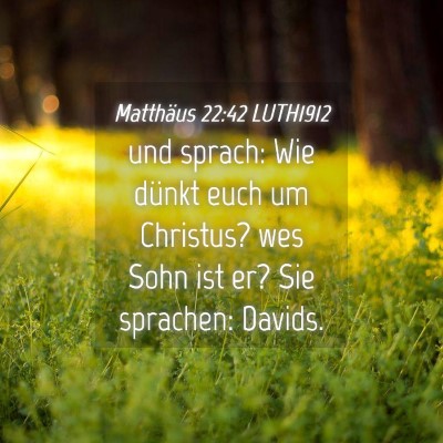 Picture 04 - Matthäus 22:42 LUTH1912 - und sprach: Wie dünkt euch um Christus? wes Sohn - Bible Verse Picture