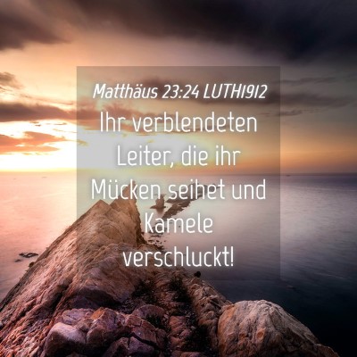 Picture 04 - Matthäus 23:24 LUTH1912 - Ihr verblendeten Leiter, die ihr Mücken seihet - Bible Verse Picture