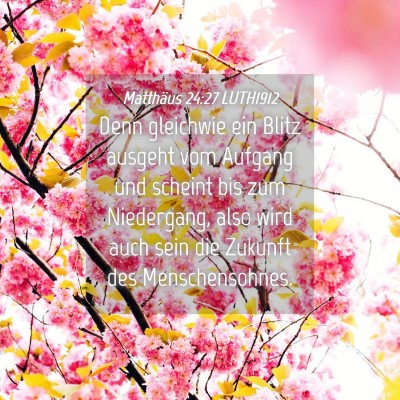 Picture 04 - Matthäus 24:27 LUTH1912 - Denn gleichwie ein Blitz ausgeht vom Aufgang und - Bible Verse Picture