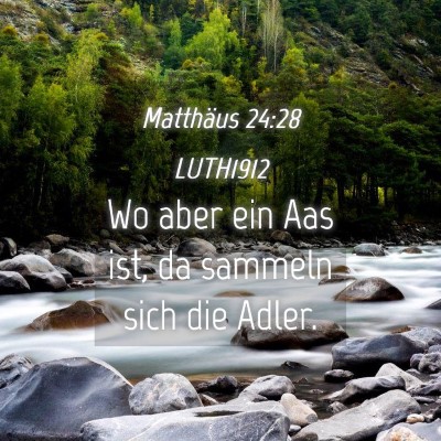 Picture 04 - Matthäus 24:28 LUTH1912 - Wo aber ein Aas ist, da sammeln sich die - Bible Verse Picture