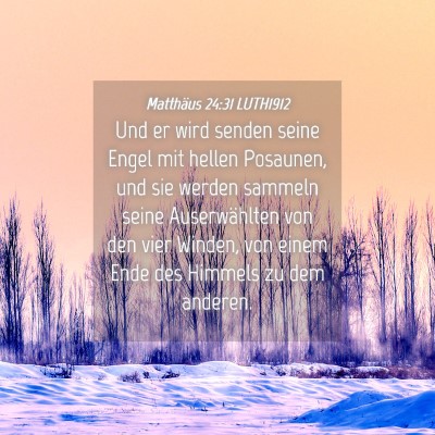 Picture 04 - Matthäus 24:31 LUTH1912 - Und er wird senden seine Engel mit hellen - Bible Verse Picture
