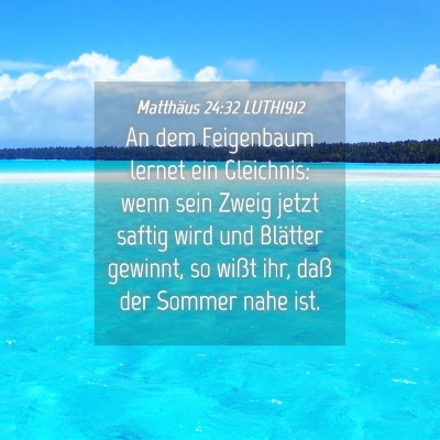 Picture 04 - Matthäus 24:32 LUTH1912 - An dem Feigenbaum lernet ein Gleichnis: wenn sein - Bible Verse Picture