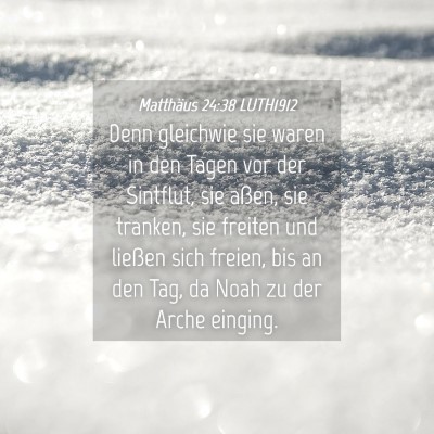 Picture 04 - Matthäus 24:38 LUTH1912 - Denn gleichwie sie waren in den Tagen vor der - Bible Verse Picture