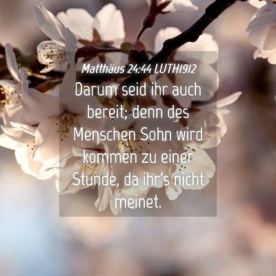 Picture 04 - Matthäus 24:44 LUTH1912 - Darum seid ihr auch bereit; denn des Menschen - Bible Verse Picture
