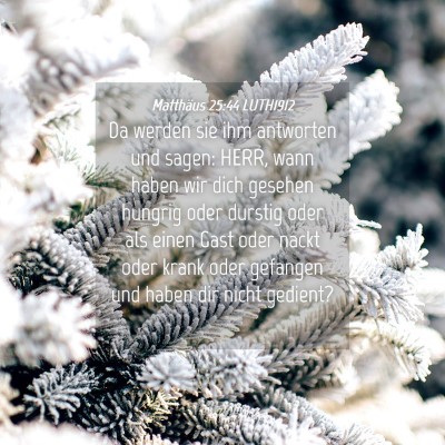 Picture 04 - Matthäus 25:44 LUTH1912 - Da werden sie ihm antworten und sagen: HERR, wann - Bible Verse Picture