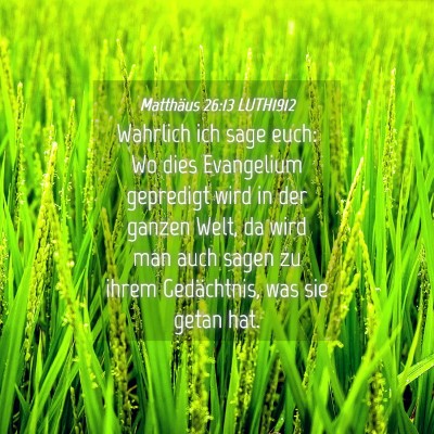 Picture 04 - Matthäus 26:13 LUTH1912 - Wahrlich ich sage euch: Wo dies Evangelium - Bible Verse Picture