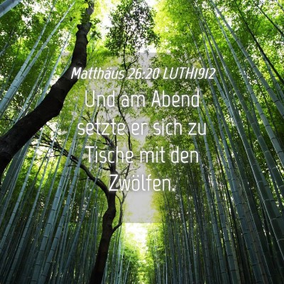 Picture 04 - Matthäus 26:20 LUTH1912 - Und am Abend setzte er sich zu Tische mit den - Bible Verse Picture