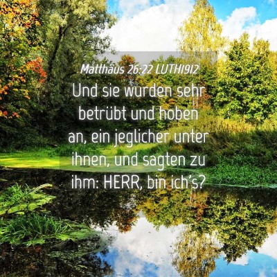 Picture 04 - Matthäus 26:22 LUTH1912 - Und sie wurden sehr betrübt und hoben an, ein - Bible Verse Picture