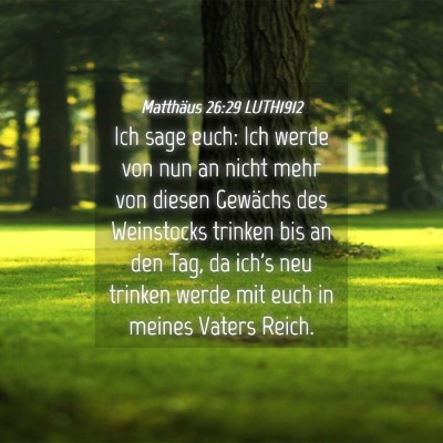 Picture 04 - Matthäus 26:29 LUTH1912 - Ich sage euch: Ich werde von nun an nicht mehr - Bible Verse Picture