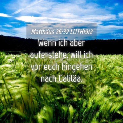 Picture 04 - Matthäus 26:32 LUTH1912 - Wenn ich aber auferstehe, will ich vor euch - Bible Verse Picture