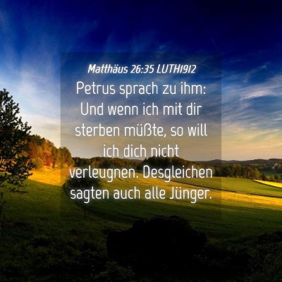 Picture 04 - Matthäus 26:35 LUTH1912 - Petrus sprach zu ihm: Und wenn ich mit dir - Bible Verse Picture