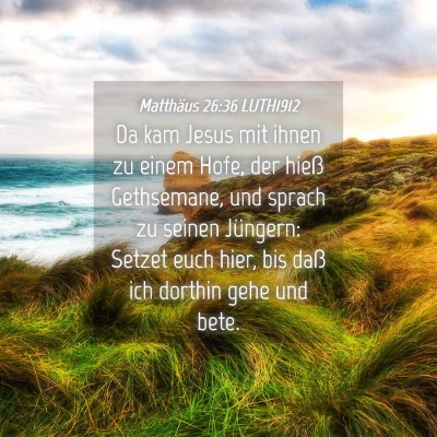 Picture 04 - Matthäus 26:36 LUTH1912 - Da kam Jesus mit ihnen zu einem Hofe, der hieß - Bible Verse Picture