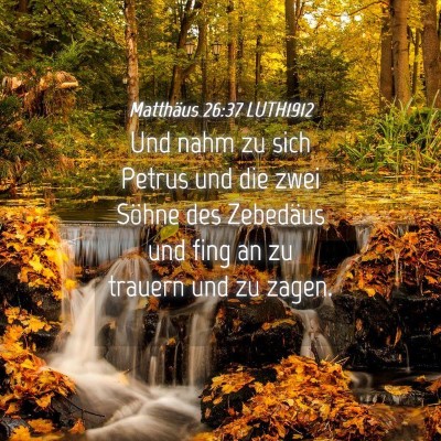 Picture 04 - Matthäus 26:37 LUTH1912 - Und nahm zu sich Petrus und die zwei Söhne des - Bible Verse Picture