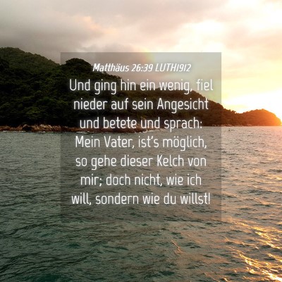 Picture 04 - Matthäus 26:39 LUTH1912 - Und ging hin ein wenig, fiel nieder auf sein - Bible Verse Picture