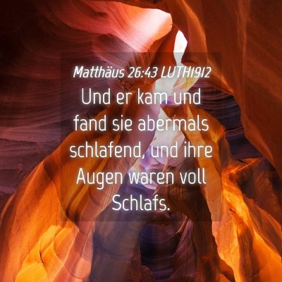 Picture 04 - Matthäus 26:43 LUTH1912 - Und er kam und fand sie abermals schlafend, und - Bible Verse Picture