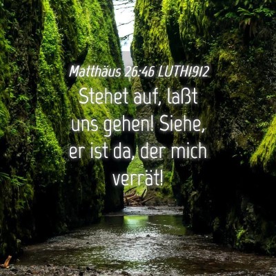 Picture 04 - Matthäus 26:46 LUTH1912 - Stehet auf, laßt uns gehen! Siehe, er ist da, - Bible Verse Picture