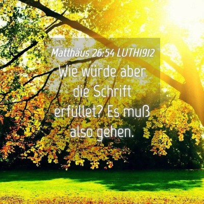 Picture 04 - Matthäus 26:54 LUTH1912 - Wie würde aber die Schrift erfüllet? Es muß - Bible Verse Picture