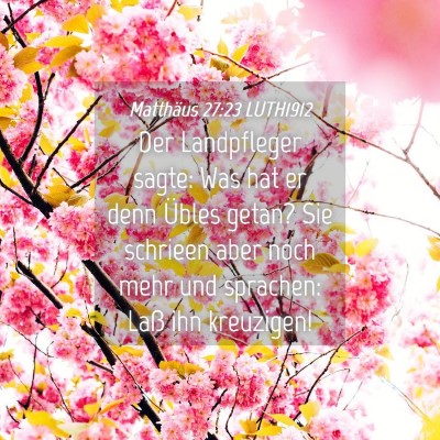 Picture 04 - Matthäus 27:23 LUTH1912 - Der Landpfleger sagte: Was hat er denn Übles - Bible Verse Picture