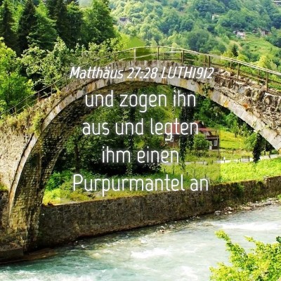 Picture 04 - Matthäus 27:28 LUTH1912 - und zogen ihn aus und legten ihm einen - Bible Verse Picture