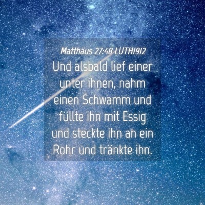 Picture 04 - Matthäus 27:48 LUTH1912 - Und alsbald lief einer unter ihnen, nahm einen - Bible Verse Picture