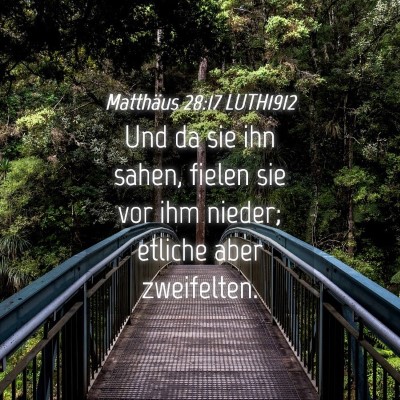 Picture 04 - Matthäus 28:17 LUTH1912 - Und da sie ihn sahen, fielen sie vor ihm nieder; - Bible Verse Picture