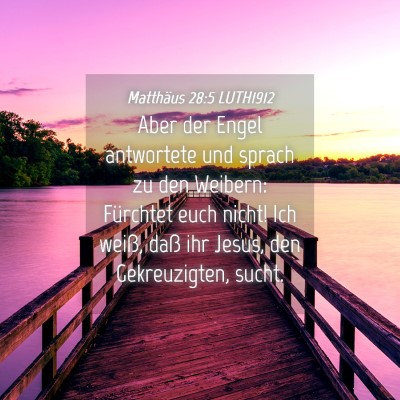 Picture 04 - Matthäus 28:5 LUTH1912 - Aber der Engel antwortete und sprach zu den - Bible Verse Picture