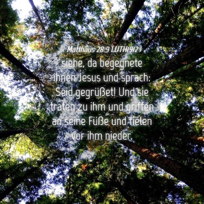 Picture 04 - Matthäus 28:9 LUTH1912 - siehe, da begegnete ihnen Jesus und sprach: Seid - Bible Verse Picture