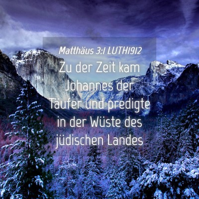 Picture 04 - Matthäus 3:1 LUTH1912 - Zu der Zeit kam Johannes der Täufer und predigte - Bible Verse Picture