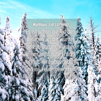 Picture 04 - Matthäus 3:10 LUTH1912 - Es ist schon die Axt den Bäumen an die Wurzel - Bible Verse Picture