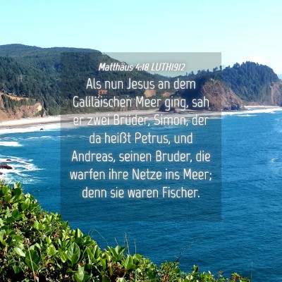 Picture 04 - Matthäus 4:18 LUTH1912 - Als nun Jesus an dem Galiläischen Meer ging, sah - Bible Verse Picture