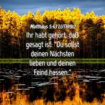 Picture 04 - Matthäus 5:43 LUTH1912 - Ihr habt gehört, daß gesagt ist: “Du sollst - Bible Verse Picture