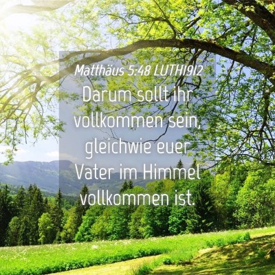 Picture 04 - Matthäus 5:48 LUTH1912 - Darum sollt ihr vollkommen sein, gleichwie euer - Bible Verse Picture