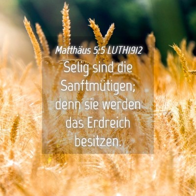 Picture 04 - Matthäus 5:5 LUTH1912 - Selig sind die Sanftmütigen; denn sie werden das - Bible Verse Picture