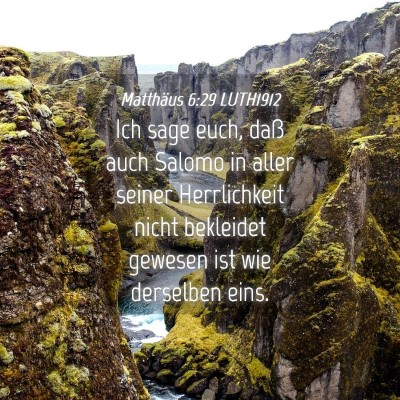 Picture 04 - Matthäus 6:29 LUTH1912 - Ich sage euch, daß auch Salomo in aller seiner - Bible Verse Picture