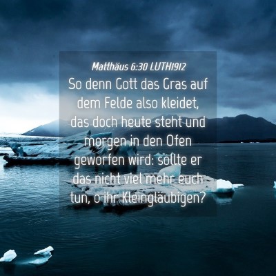 Picture 04 - Matthäus 6:30 LUTH1912 - So denn Gott das Gras auf dem Felde also kleidet, - Bible Verse Picture