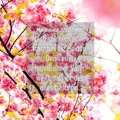 Picture 04 - Matthäus 6:32 LUTH1912 - Nach solchem allem trachten die Heiden. Denn euer - Bible Verse Picture