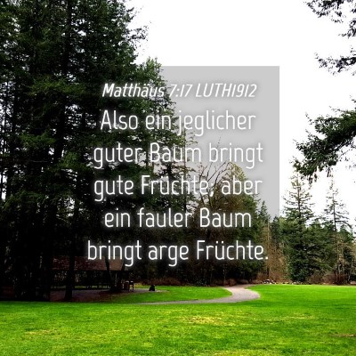 Picture 04 - Matthäus 7:17 LUTH1912 - Also ein jeglicher guter Baum bringt gute - Bible Verse Picture