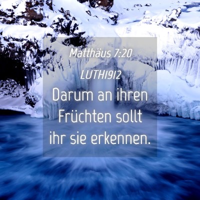 Picture 04 - Matthäus 7:20 LUTH1912 - Darum an ihren Früchten sollt ihr sie - Bible Verse Picture