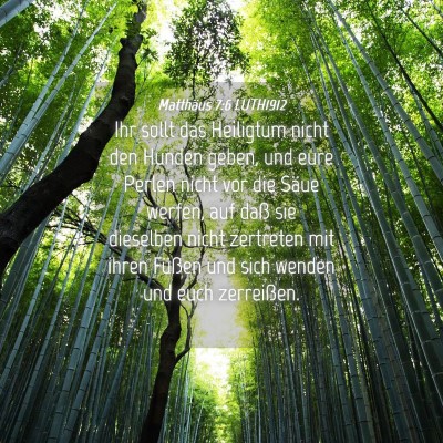 Picture 04 - Matthäus 7:6 LUTH1912 - Ihr sollt das Heiligtum nicht den Hunden geben, - Bible Verse Picture