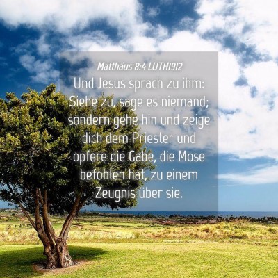 Picture 04 - Matthäus 8:4 LUTH1912 - Und Jesus sprach zu ihm: Siehe zu, sage es - Bible Verse Picture