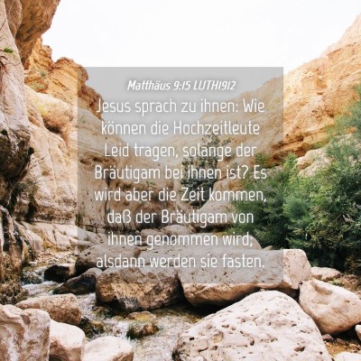 Picture 04 - Matthäus 9:15 LUTH1912 - Jesus sprach zu ihnen: Wie können die - Bible Verse Picture