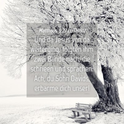 Picture 04 - Matthäus 9:27 LUTH1912 - Und da Jesus von da weiterging, folgten ihm zwei - Bible Verse Picture