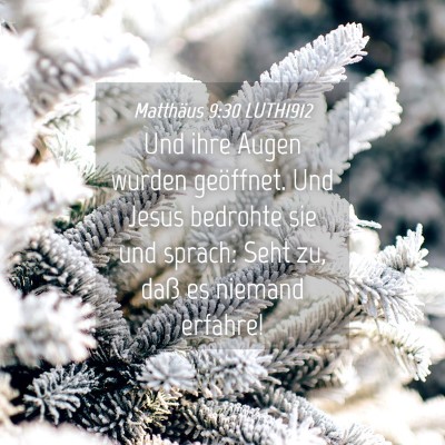 Picture 04 - Matthäus 9:30 LUTH1912 - Und ihre Augen wurden geöffnet. Und Jesus - Bible Verse Picture