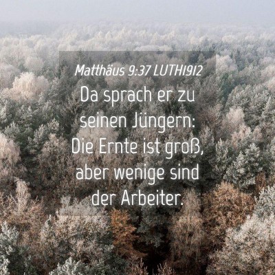 Picture 04 - Matthäus 9:37 LUTH1912 - Da sprach er zu seinen Jüngern: Die Ernte ist - Bible Verse Picture
