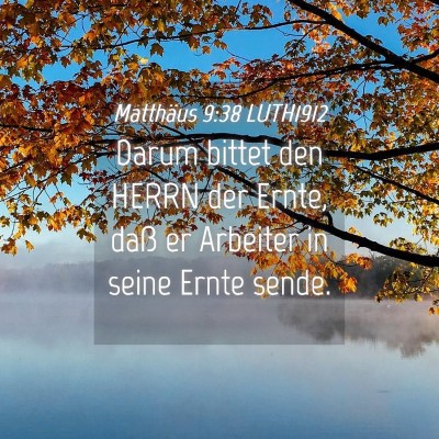 Picture 04 - Matthäus 9:38 LUTH1912 - Darum bittet den HERRN der Ernte, daß er - Bible Verse Picture