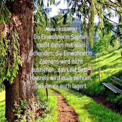 Picture 04 - Micha 1:11 LUTH1912 - Du Einwohnerin Saphirs mußt dahin mit allen - Bible Verse Picture