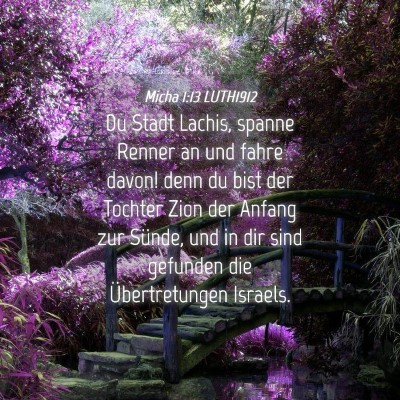 Picture 04 - Micha 1:13 LUTH1912 - Du Stadt Lachis, spanne Renner an und fahre - Bible Verse Picture