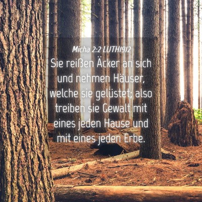 Picture 04 - Micha 2:2 LUTH1912 - Sie reißen Äcker an sich und nehmen Häuser, - Bible Verse Picture
