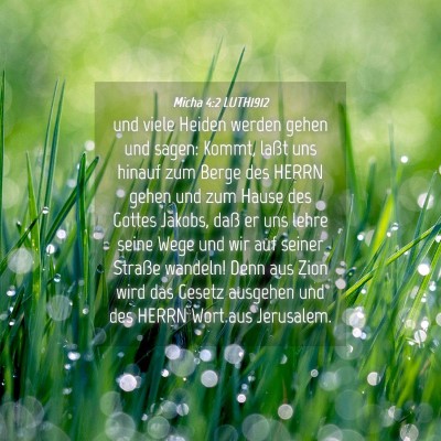 Picture 04 - Micha 4:2 LUTH1912 - und viele Heiden werden gehen und sagen: Kommt, - Bible Verse Picture